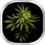 Logo of Weed Live Wallpaper android Application 